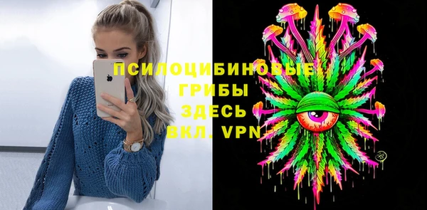 твердый Няндома