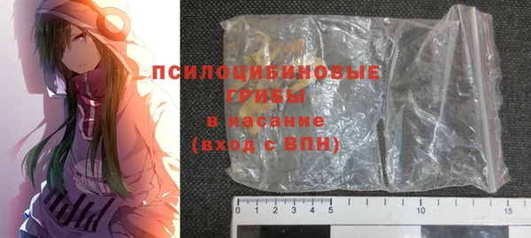 гашик Нязепетровск
