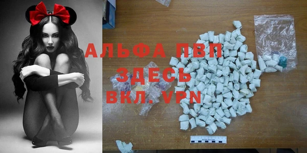 твердый Няндома